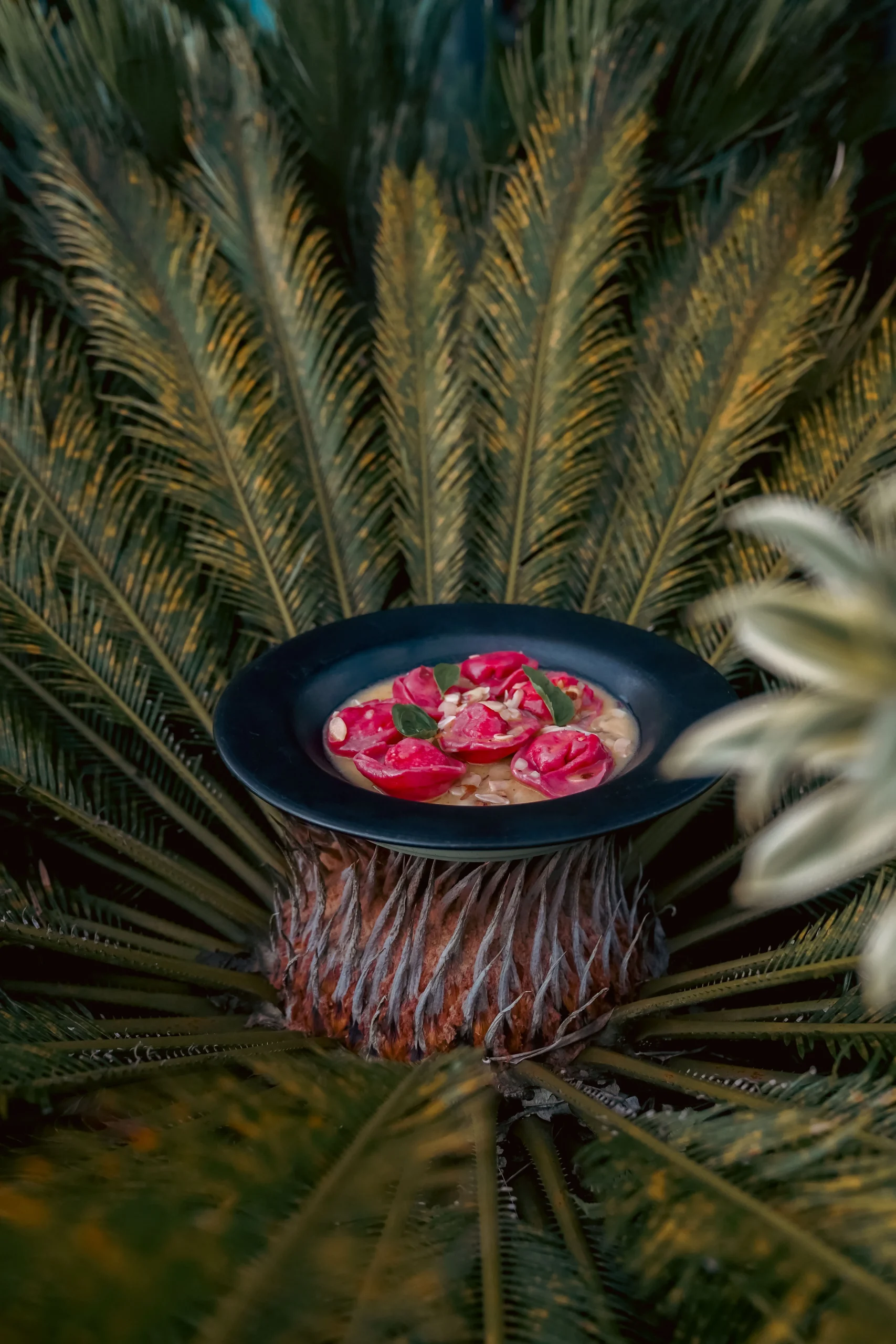 Plato gourmet de raviolis rosados sobre fondo natural con palmas – fotografía editorial de comida tropical por Suma Estudios