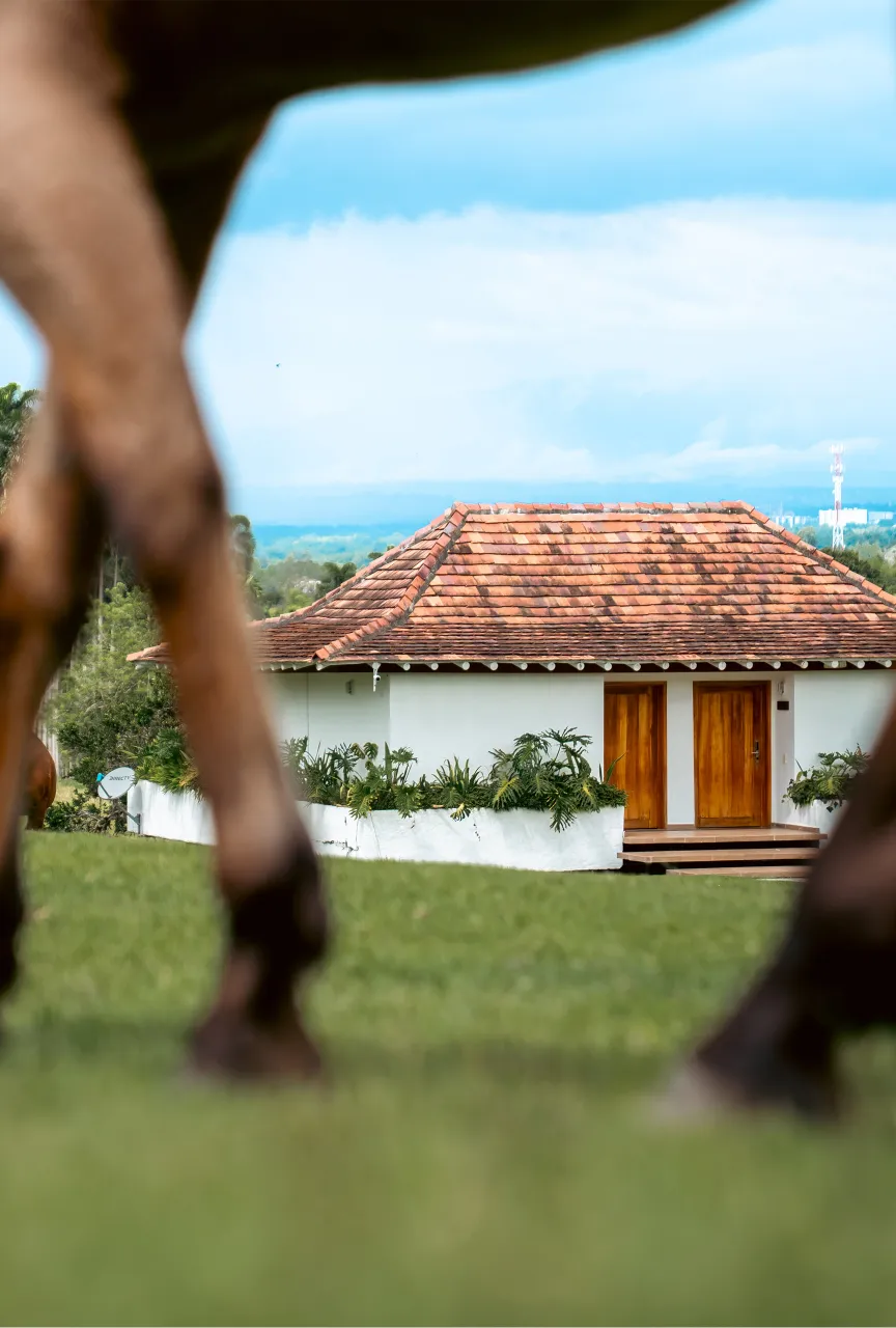 Manos de mujer mayor realizando masaje en Bio Spa – experiencia de bienestar natural en Bio Hábitat documentada por Suma Estudios